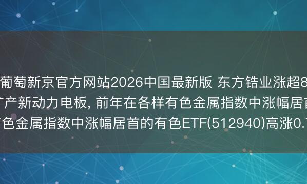 葡萄新京官方网站2026中国最新版 东方锆业涨超8%! 拟定增11.7亿元扩产新动力电板， 前年在各样有色金属指数中涨幅居首的有色ETF(512940)高涨0.75%