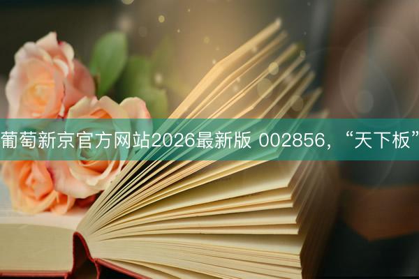 葡萄新京官方网站2026最新版 002856，“天下板”