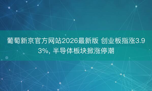 葡萄新京官方网站2026最新版 创业板指涨3.93%， 半导体板块掀涨停潮