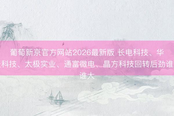 葡萄新京官方网站2026最新版 长电科技、华天科技、太极实业、通富微电、晶方科技回转后劲谁大