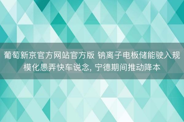 葡萄新京官方网站官方版 钠离子电板储能驶入规模化愚弄快车说念, 宁德期间推动降本