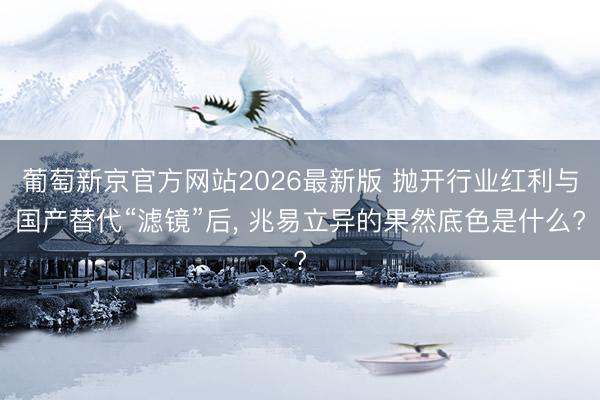 葡萄新京官方网站2026最新版 抛开行业红利与国产替代“滤镜”后， 兆易立异的果然底色是什么?