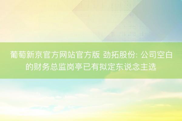 葡萄新京官方网站官方版 劲拓股份: 公司空白的财务总监岗亭已有拟定东说念主选
