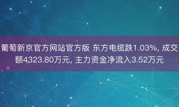 葡萄新京官方网站官方版 东方电缆跌1.03%， 成交额4323.80万元， 主力资金净流入3.52万元