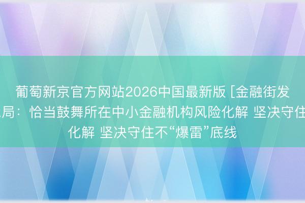 葡萄新京官方网站2026中国最新版 [金融街发布]金融监管总局：恰当鼓舞所在中小金融机构风险化解 坚决守住不“爆雷”底线