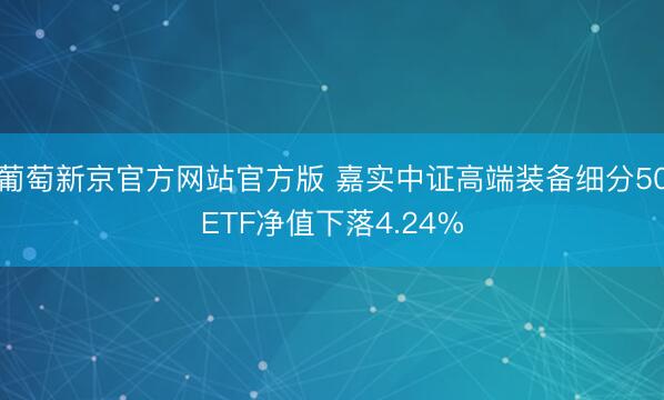 葡萄新京官方网站官方版 嘉实中证高端装备细分50ETF净值下落4.24%