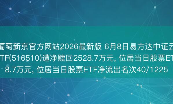 葡萄新京官方网站2026最新版 6月8日易方达中证云策画与大数据主题ETF(516510)遭净赎回2528.7万元， 位居当日股票ETF净流出名次40/1225