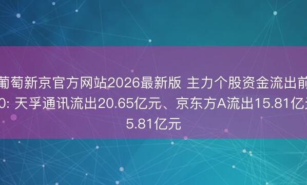 葡萄新京官方网站2026最新版 主力个股资金流出前20: 天孚通讯流出20.65亿元、京东方A流出15.81亿元