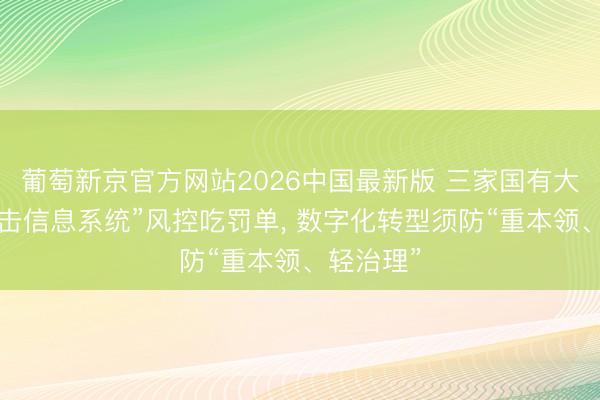 葡萄新京官方网站2026中国最新版 三家国有大行因“攻击信息系统”风控吃罚单, 数字化转型须防“重本领、轻治理”
