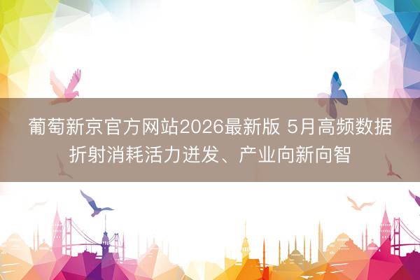 葡萄新京官方网站2026最新版 5月高频数据折射消耗活力迸发、产业向新向智