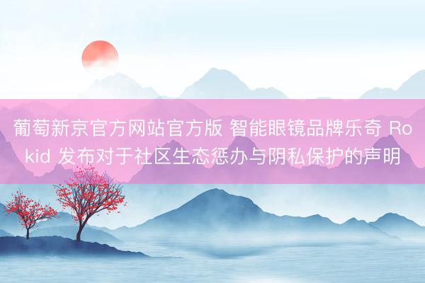 葡萄新京官方网站官方版 智能眼镜品牌乐奇 Rokid 发布对于社区生态惩办与阴私保护的声明
