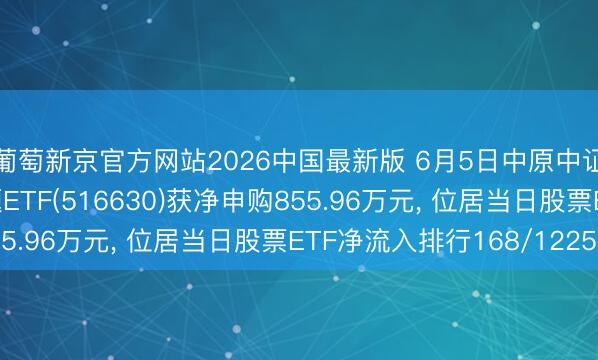 葡萄新京官方网站2026中国最新版 6月5日中原中证云野心与大数据主题ETF(516630)获净申购855.96万元， 位居当日股票ETF净流入排行168/1225