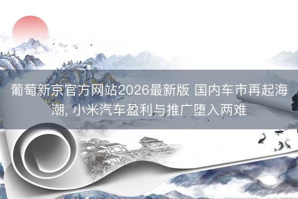 葡萄新京官方网站2026最新版 国内车市再起海潮， 小米汽车盈利与推广堕入两难