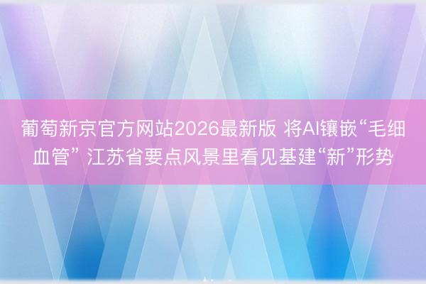 葡萄新京官方网站2026最新版 将AI镶嵌“毛细血管” 江苏省要点风景里看见基建“新”形势