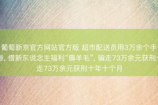 葡萄新京官方网站官方版 超市配送员用3万余个手机号钻罅隙， 借新东说念主福利“薅羊毛”， 骗走73万余元获刑十年十个月