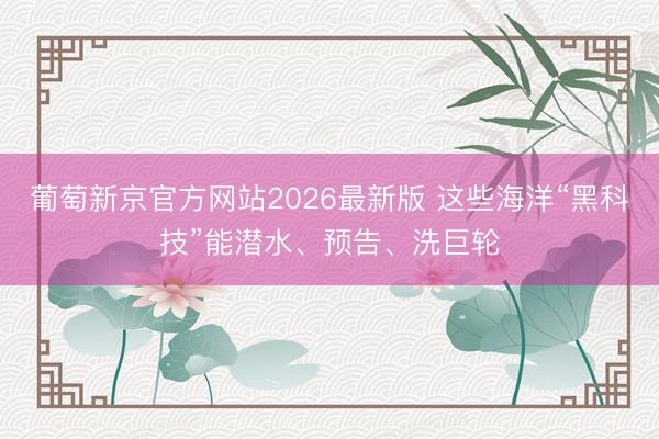 葡萄新京官方网站2026最新版 这些海洋“黑科技”能潜水、预告、洗巨轮