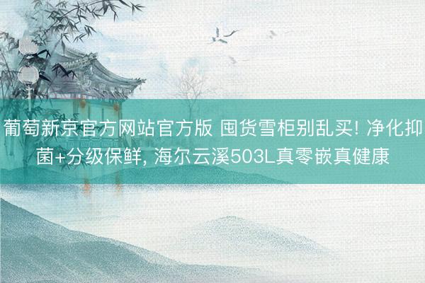 葡萄新京官方网站官方版 囤货雪柜别乱买! 净化抑菌+分级保鲜， 海尔云溪503L真零嵌真健康