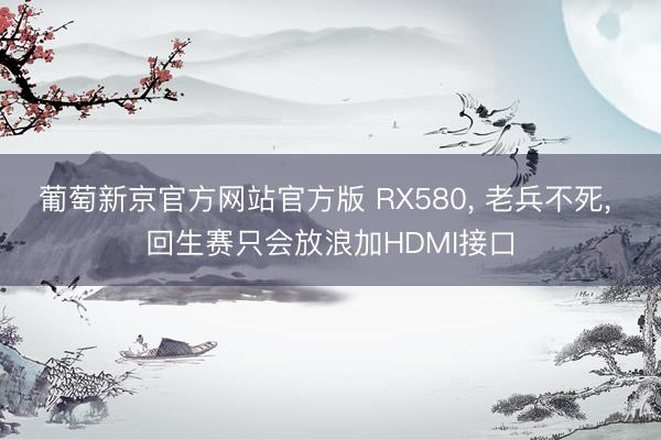 葡萄新京官方网站官方版 RX580， 老兵不死， 回生赛只会放浪加HDMI接口