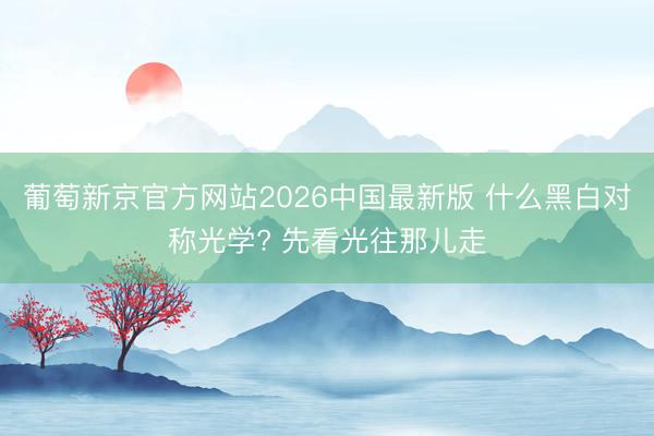 葡萄新京官方网站2026中国最新版 什么黑白对称光学? 先看光往那儿走