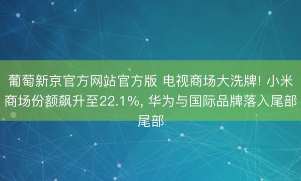 葡萄新京官方网站官方版 电视商场大洗牌! 小米商场份额飙升至22.1%， 华为与国际品牌落入尾部