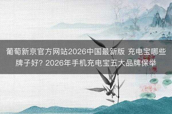 葡萄新京官方网站2026中国最新版 充电宝哪些牌子好? 2026年手机充电宝五大品牌保举