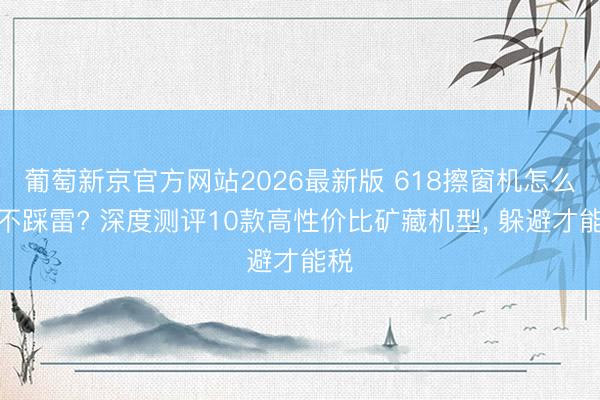 葡萄新京官方网站2026最新版 618擦窗机怎么选不踩雷? 深度测评10款高性价比矿藏机型， 躲避才能税