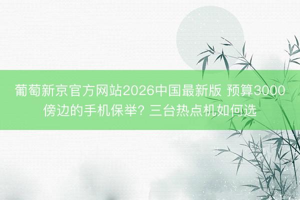葡萄新京官方网站2026中国最新版 预算3000傍边的手机保举? 三台热点机如何选