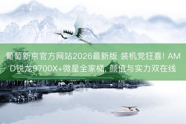 葡萄新京官方网站2026最新版 装机党狂喜! AMD锐龙9700X+微星全家桶， 颜值与实力双在线