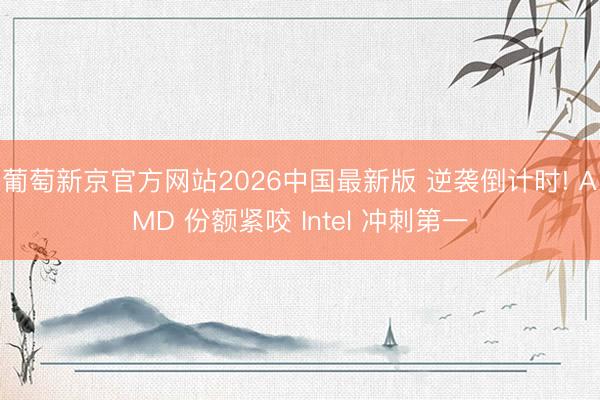 葡萄新京官方网站2026中国最新版 逆袭倒计时! AMD 份额紧咬 Intel 冲刺第一