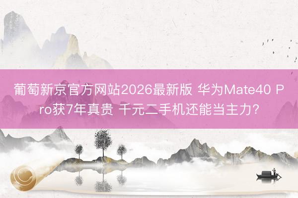 葡萄新京官方网站2026最新版 华为Mate40 Pro获7年真贵 千元二手机还能当主力?