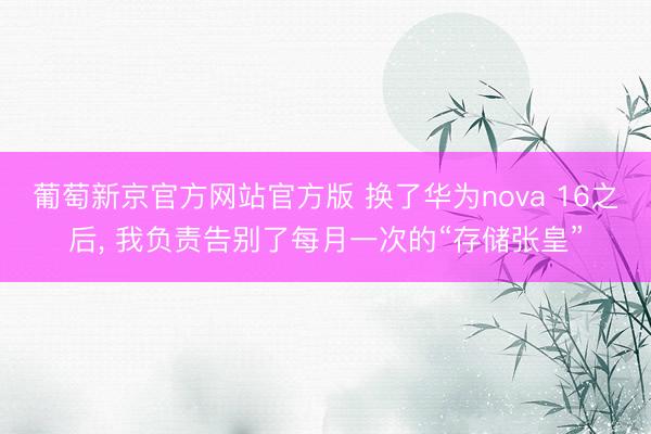 葡萄新京官方网站官方版 换了华为nova 16之后， 我负责告别了每月一次的“存储张皇”