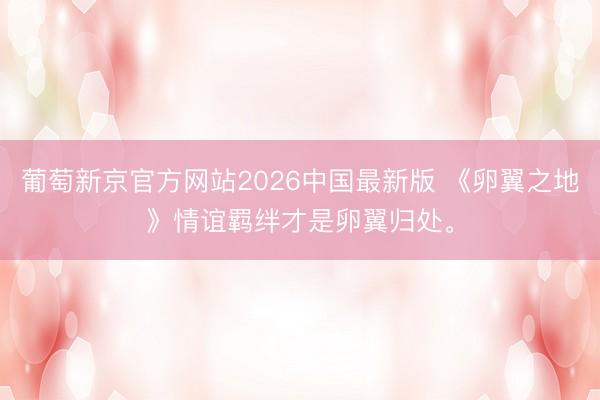 葡萄新京官方网站2026中国最新版 《卵翼之地》情谊羁绊才是卵翼归处。