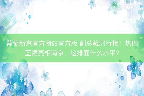 葡萄新京官方网站官方版 副总裁躬行接！热巴蓝裙亮相南京，这排面什么水平？