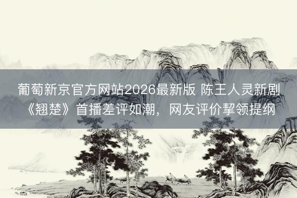 葡萄新京官方网站2026最新版 陈王人灵新剧《翘楚》首播差评如潮，网友评价挈领提纲