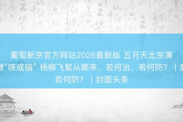 葡萄新京官方网站2026最新版 五月天北京演唱会自嘲“咳成猫” 杨柳飞絮从哪来、若何治、若何防?丨封面头条