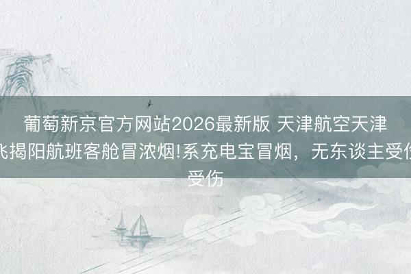 葡萄新京官方网站2026最新版 天津航空天津飞揭阳航班客舱冒浓烟!系充电宝冒烟，无东谈主受伤