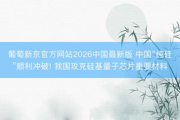 葡萄新京官方网站2026中国最新版 中国“纯硅”顺利冲破! 我国攻克硅基量子芯片重要材料