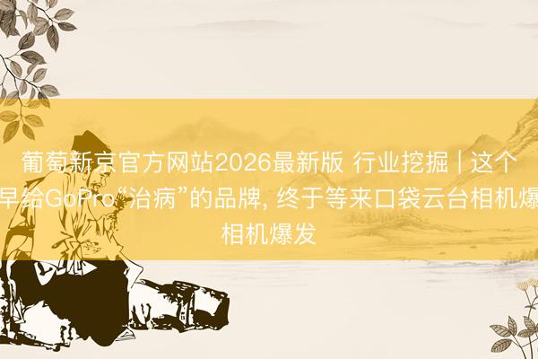 葡萄新京官方网站2026最新版 行业挖掘 | 这个最早给GoPro“治病”的品牌, 终于等来口袋云台相机爆发